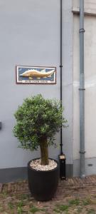 Appartement B&B In de Gulde Steur