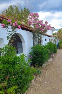 Camping Village Torrenova