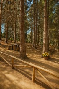 Departamento en el Tabo