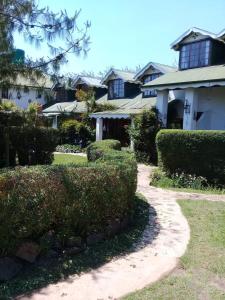 Mountain Haven Kaapsehoop