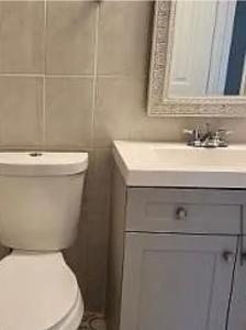 Peace and Quiet Dorm Rooms -