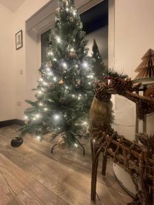 2 Bed Town Centre Apt in Porthcawl, parking, Wifi ,Sky & Netflix