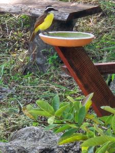 Acogedora casa campo en medio de la naturaleza