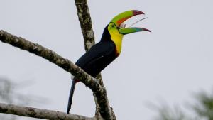 Hotel Pedacito de Cielo