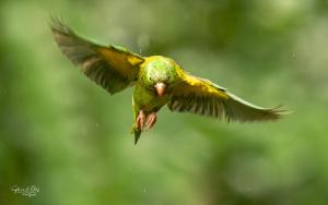 Hotel Pedacito de Cielo