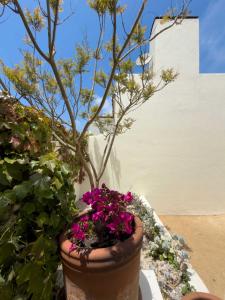 Casapueblo Rent Cachagua CP 14