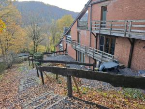 Le Rouge Gorge Curieux