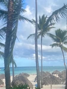 Hotel Las Rosas de Punta Cana