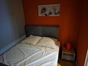 Le Rouge Gorge Curieux