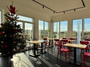 Pokoje Dębowa Góra