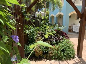 Turtles Nest Beach Apartments