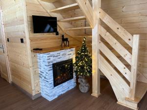 Domki na granicy - Kurów