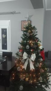 Voula home -IOANNINA-NEOKESARIA