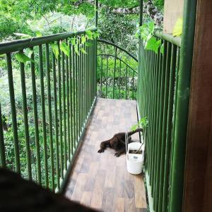 Duni Hostel, Reserva Paway