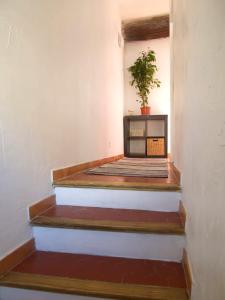 Charmant T3 au centre de gréoux les bains