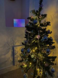 Quirky & Comfortable Residence