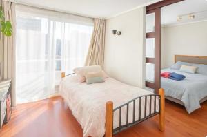 Disfruta el Centro de Santiago con lavadora y Aire acondicionado