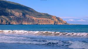 Camping Etoile de Mer