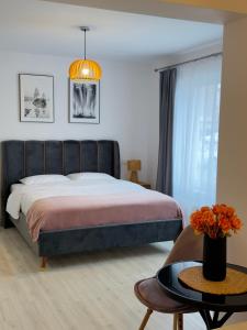 Mountain Stay Aparthotel Brasov with Private Parking