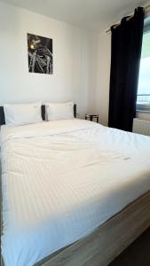 Venus Serene Studio in Coresi