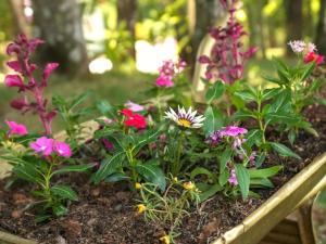 Chalé com vista para montanhas, hidro e piscina em Socorro - Refúgio Campestre - Beija-flor