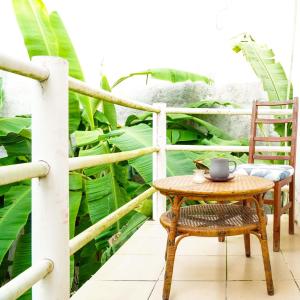 Casa Mariposa en Bacalar