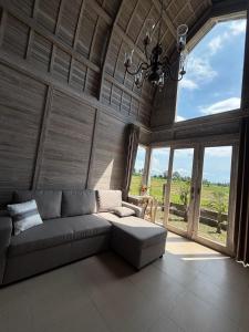 CARROLINE homestay ricefield