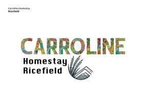 CARROLINE homestay ricefield