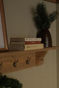 Bách Xanh House. Nhà ống khói