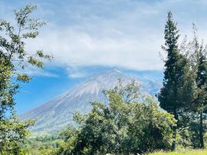 Hosteria Taita Pacho