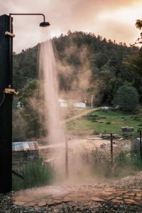 Tasmanian Farm Stay, Relax, Nature & Eco Escape