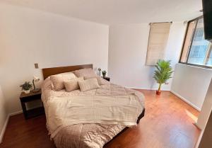 Apartamento a pasos del Metro y Museo Bellas Artes, Cerro Santa Lucia, Barrio Lastarria
