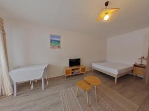 Charmant studio au calme près du centre des Rousses pour 3 personnes - FR-1-834-17