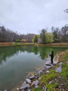 The Bearfoot Cabin! Ideally located, decorated for Christmas, Fireplace, Game Room!