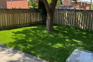 Private Basement unit in Richmond Hill