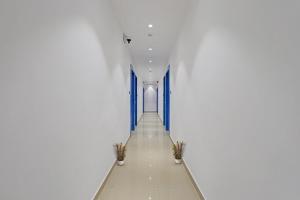 Collection O Leo Palace