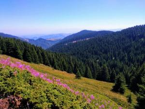 Modern Spacious ViS Raska Apartment! 5min Cafes