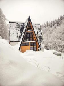 Cabana Aframe Blidari