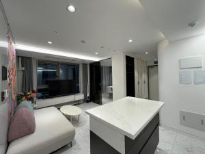 Gangnam Luxury House