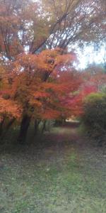 raibrasil guest house