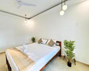 Shades Ivory - Agonda Beach Resort