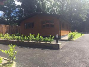 Shellow Lane Lodges