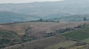 Agriturismo San Michele