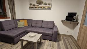 Apartmán Kovadlina 5 - Kovářov, výhled na Lipno