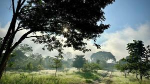 บ้านเหนือนำ - a home of neua