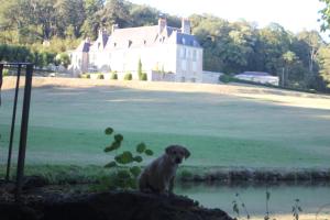 Maisons d'hotes Chateau d'Hodebert : photos des chambres