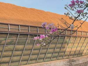 Here Library - A wooden home by the river with a library
