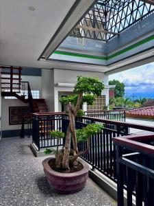 Omah Joglo Bugis Guest House Syariah Cafe & Resto