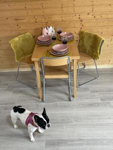 Schicke Ferien- und Monteurswohnung 53 qm Philippsburg