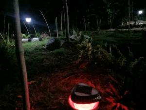 Makucha Ya Simba Homestay and camping grounds in mwanza